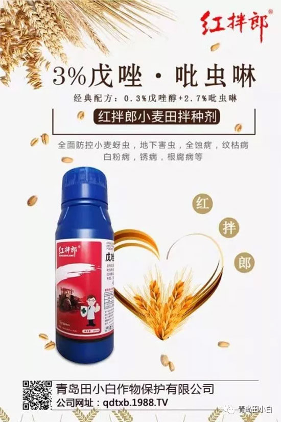 玉米為什么要拌種？玉米二次拌種及注意事項(xiàng)！