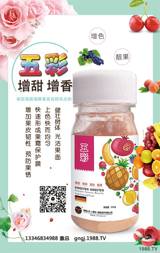 如何因地因品種確定玉米種植行距？玉米株距多遠(yuǎn)才是科學(xué)的？