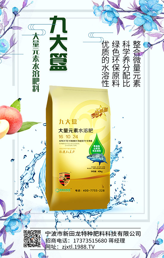 �����P(gu��n)ϵ�����A���������m(x��)�s1988.TV�����\�����°l(f��)չ��