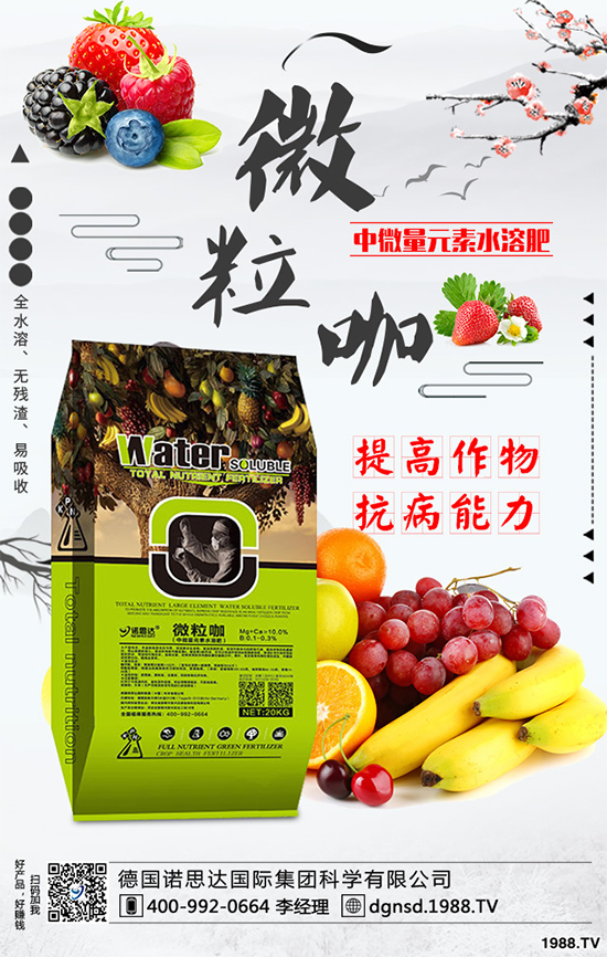 ��(zh��n)�Ժ���������(j��)����(gu��)�Z˼�_(d��)�ٴκ��s1988.TV��