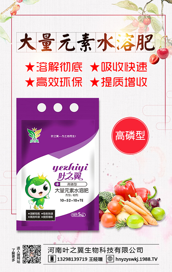 薄荷生長(zhǎng)習(xí)性有哪些?薄荷的田間管理要點(diǎn)!