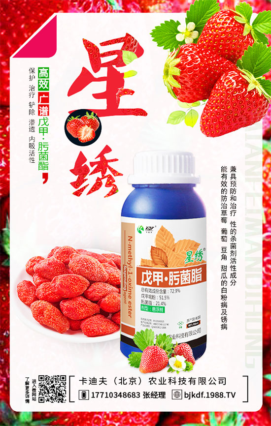 豆角要不要打尖？豆角如何正確整枝打尖呢？