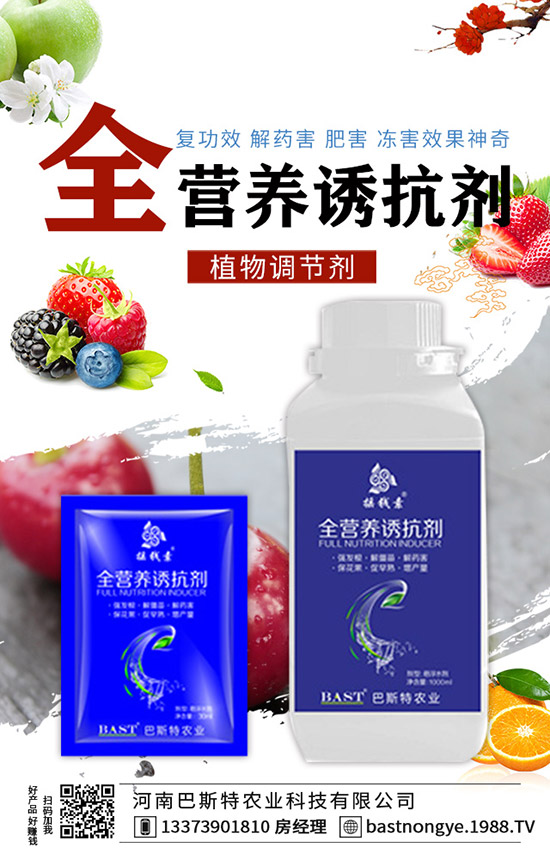 結(jié)球甘藍(lán)怎么施肥，結(jié)球甘藍(lán)的施肥技術(shù)！