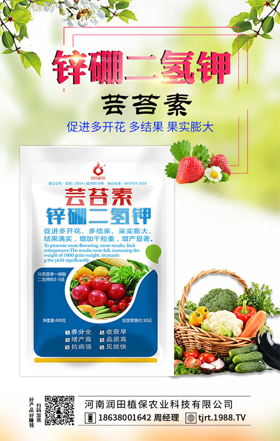 莧菜什么時間栽種？莧菜種植技術(shù)要點！