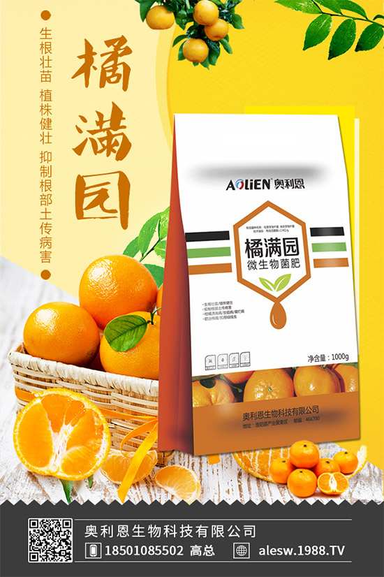 怎么區(qū)別大茴香和小茴香?茴香種植注意事項(xiàng)!