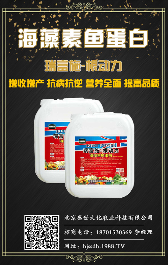 土茯苓是什么植物？土茯苓的功效與作用有哪些？