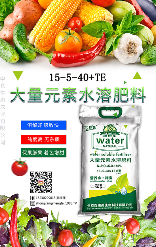 仙人球這樣養(yǎng)才不會死！金琥繁殖及栽培養(yǎng)殖管理！