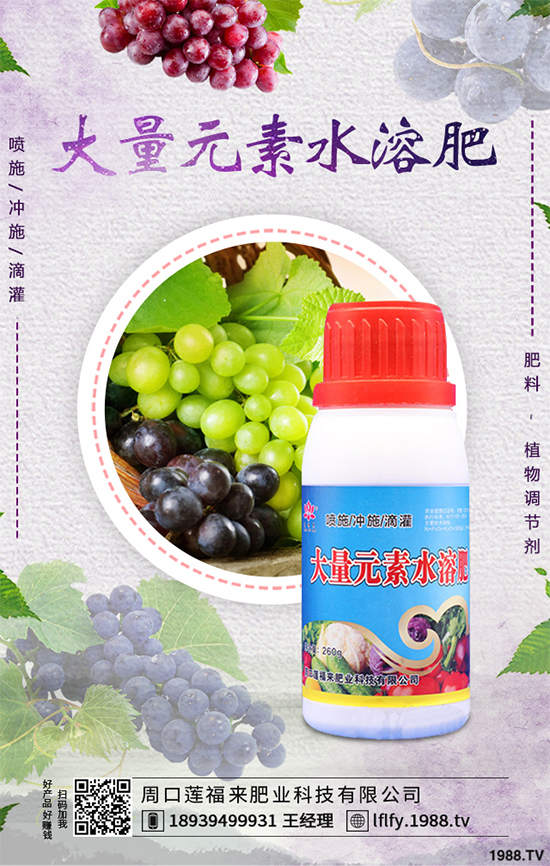 皂莢刺多少錢一斤？種植前景如何？中藥材的效益分析