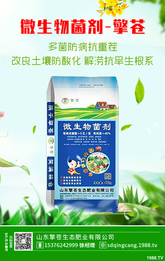     2020年4月3日復(fù)合肥市場行情保持穩(wěn)定態(tài)勢！最新后市預(yù)測！