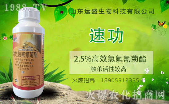 ���r(n��ng)���W(w��ng)ϲӭ���������y��ɽ�|�\ʢ����ؔ��֮·��