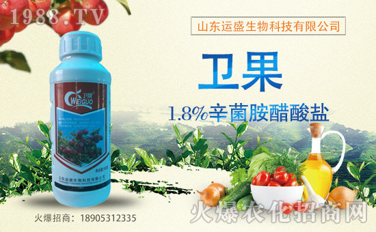 ���r(n��ng)���W(w��ng)ϲӭ���������y��ɽ�|�\ʢ����ؔ��֮·��