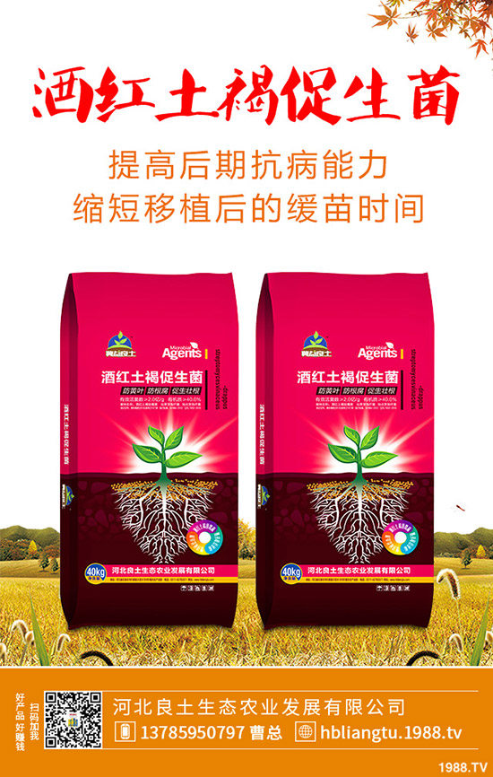 �{��ʲô�r��Nֲ�^�����{�˵ķNֲ���g(sh��)�c���g����