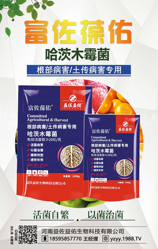 芋頭都有什么營(yíng)養(yǎng)價(jià)值？吃芋頭有什么好處？