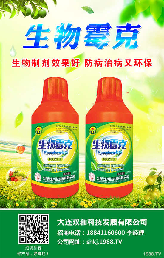 春胡蘿卜什么時(shí)候種植?如何種植才能高產(chǎn)呢?