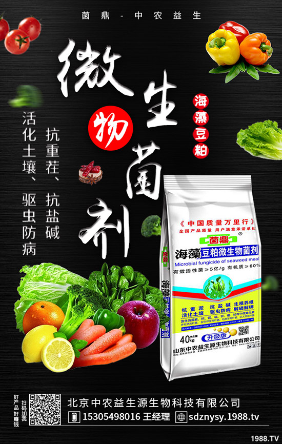     二銨市場整體表現(xiàn)平靜！2020-5-12最新磷酸二銨價格行情分析！