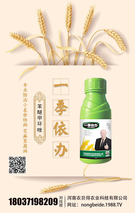 水培白掌怎么養(yǎng)？水培水培注意要點！