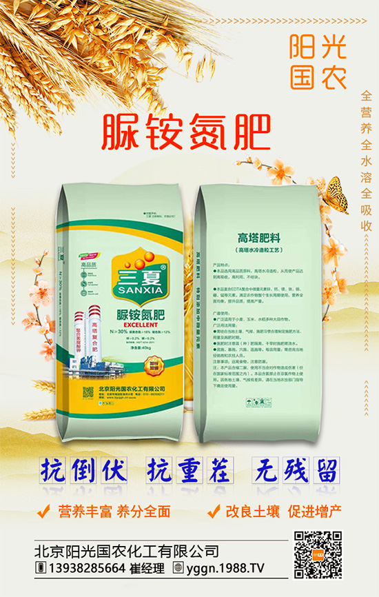 白掌怎么養(yǎng)殖好？水培白掌需要多久才能換水？