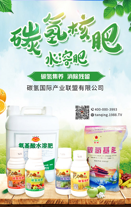 5月可以種什么菜?5月蔬菜種植指南及防注意事項!