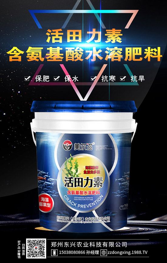 牛大力的種植的前景怎樣，牛大力種植技術及苗期管理！