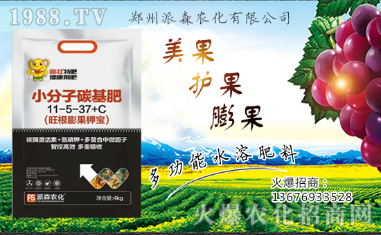 ������ɭ�r(n��ng)���ٺ�1988.TV����(zh��n)�Ժ����P(gu��n)ϵ�������_�A��