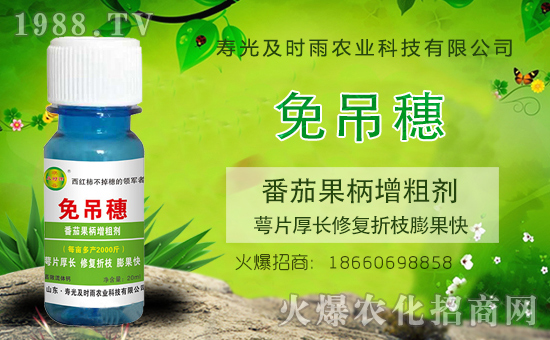 ���������������r���r(n��ng)�I(y��)�y��1988.TV���Aδ����