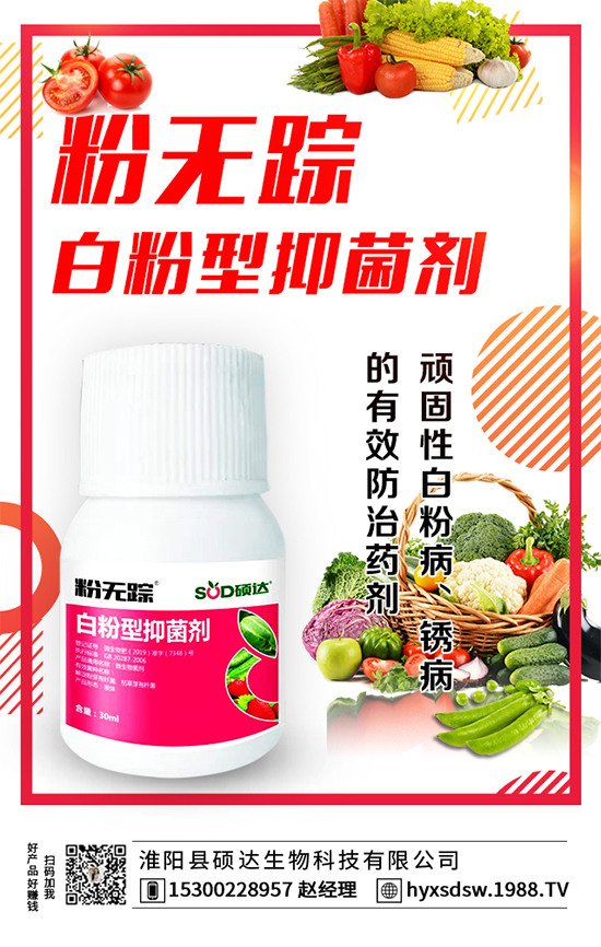 板栗怎么種植？板栗種植技術(shù)要點！