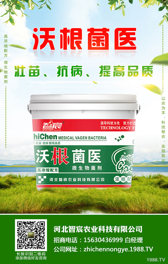 鉀肥價格整體偏低運(yùn)行!最新鉀肥行情分析2020-5-15!