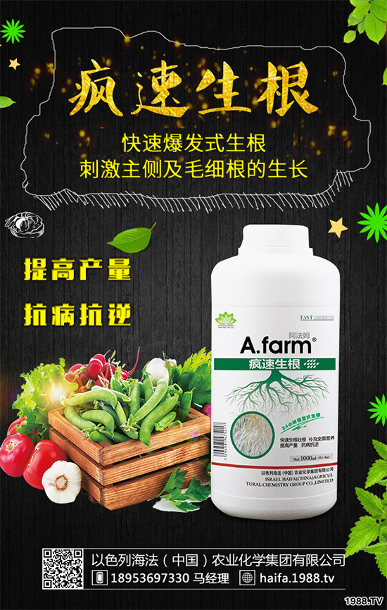 葡萄裂果是啥原因？該如何預(yù)防？葡萄裂果的原因和防治方法