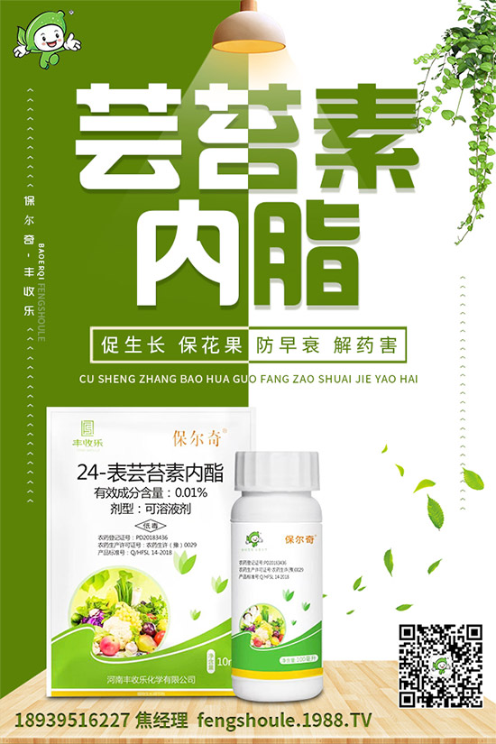 草珊瑚該怎么種植？如何種植能高產(chǎn)？草珊瑚高產(chǎn)種植技術(shù)