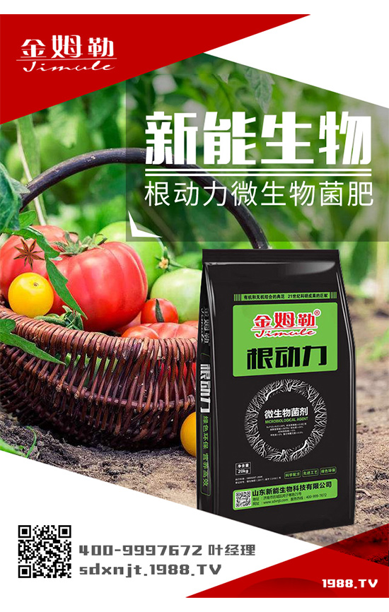 �������\�l(f��)չ��ɽ�|�����ٺ�1988.TV�_(k��i)��(chu��ng)���x����