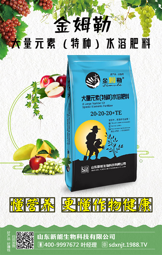 �������\�l(f��)չ��ɽ�|�����ٺ�1988.TV�_(k��i)��(chu��ng)���x����