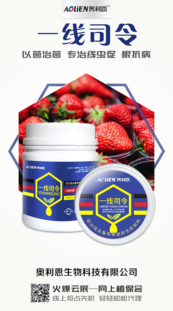 香瓜育苗期的水肥管理，香瓜施肥的注意事項(xiàng)！