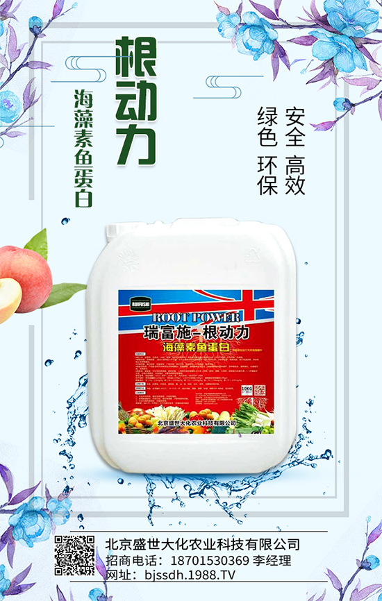 荔枝生長環(huán)境要求，荔枝苗嫁接方法及施肥原則！