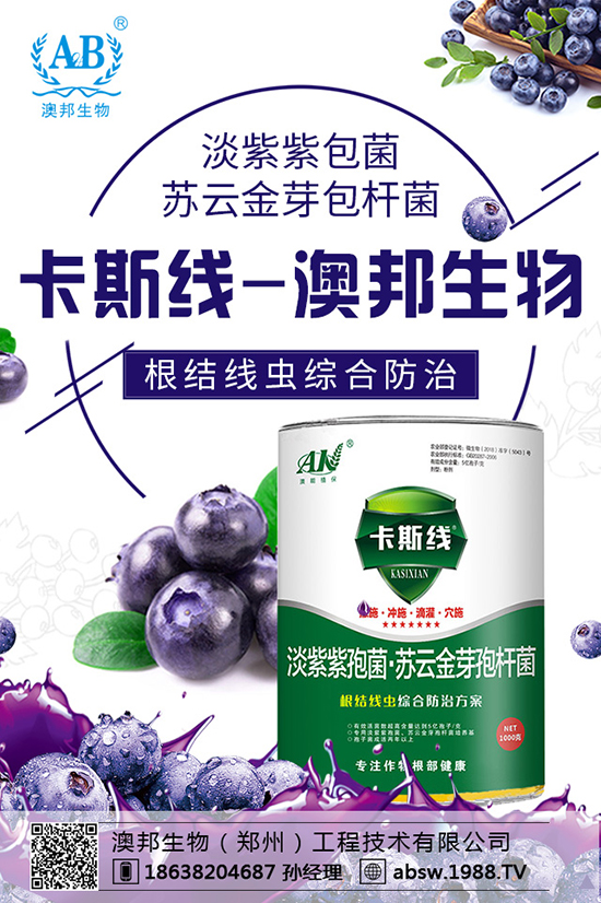 玉米播種多深才算好？玉米如何選種？玉米播種注意事項！