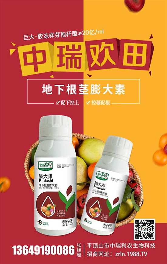 ����������(j��)���������r(n��ng)�ٺ����r(n��ng)�����̾W(w��ng)�������W(w��ng)�j(lu��)����·��