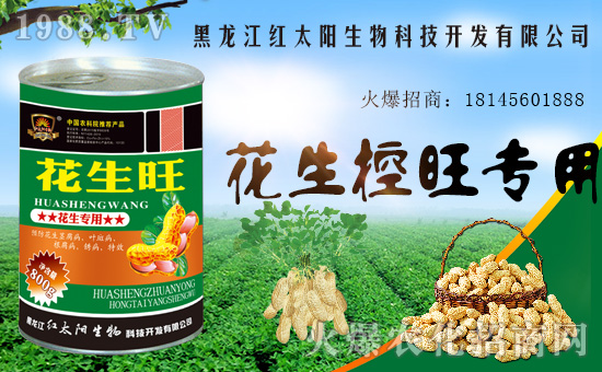 �������������t̫������ٺ�1988.TV���y�ֹ��A2020��