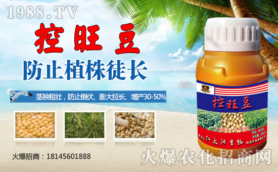 �������������t̫������ٺ�1988.TV���y�ֹ��A2020��