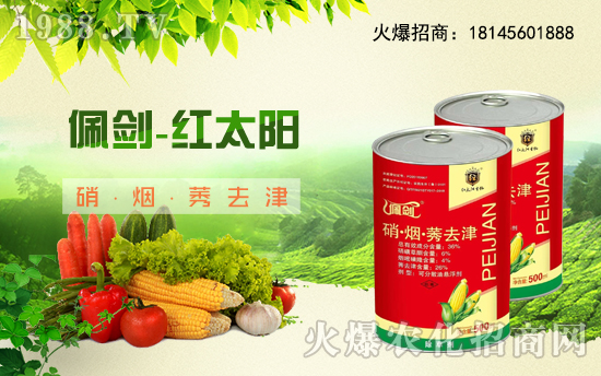 �������������t̫������ٺ�1988.TV���y�ֹ��A2020��