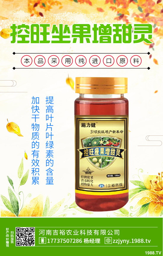 沙田柚種植需滿足哪些條件？沙田柚的種植方法有哪些？