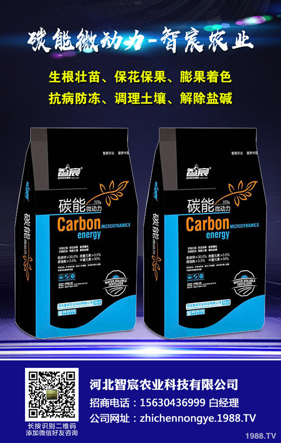 ���ϵ��������������ʩ���Ľ��ɣ�