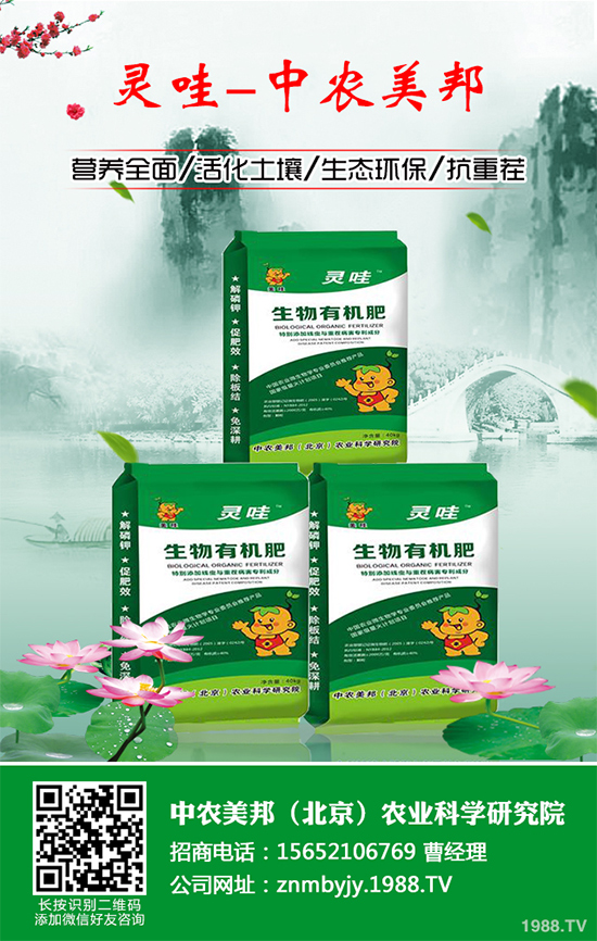 甘蔗常見病害有哪些？該如何預防？甘蔗病害的發(fā)生與防治！