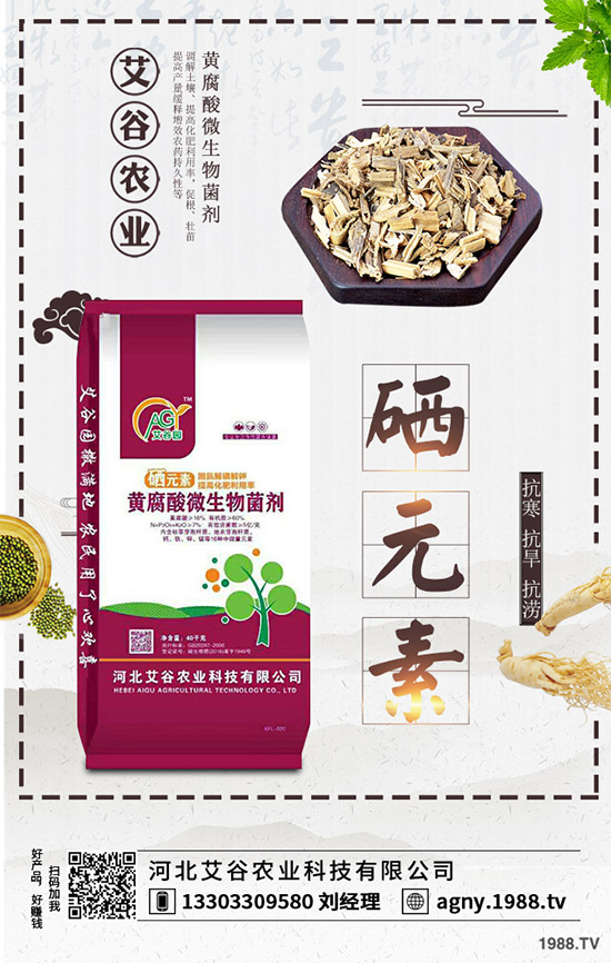 黑番茄該怎樣種植？如何管理才能獲得高產(chǎn)？黑番茄高產(chǎn)種植管理技術(shù)！