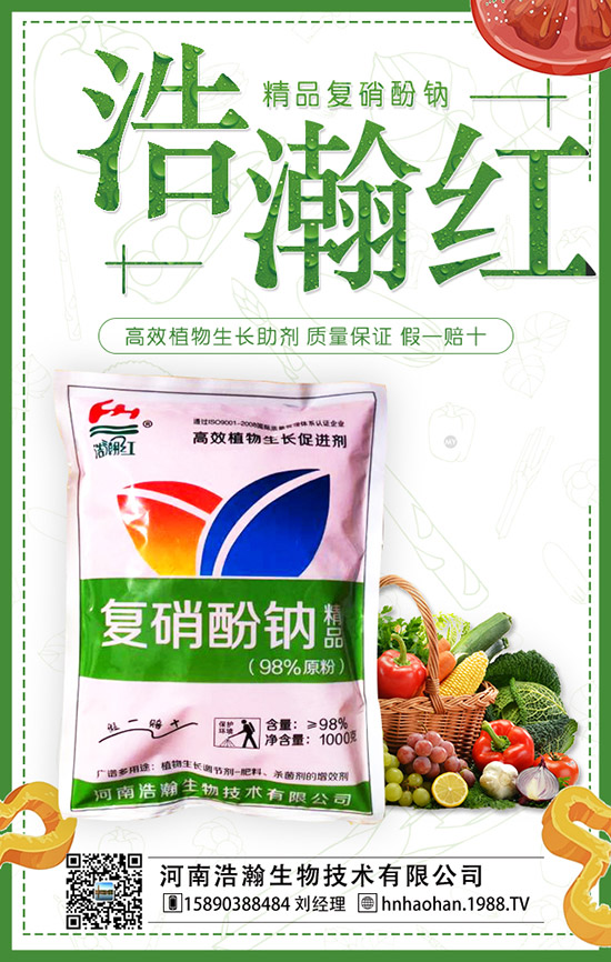 番茄什么時(shí)間種植，番茄種植技術(shù)及管理要點(diǎn)！