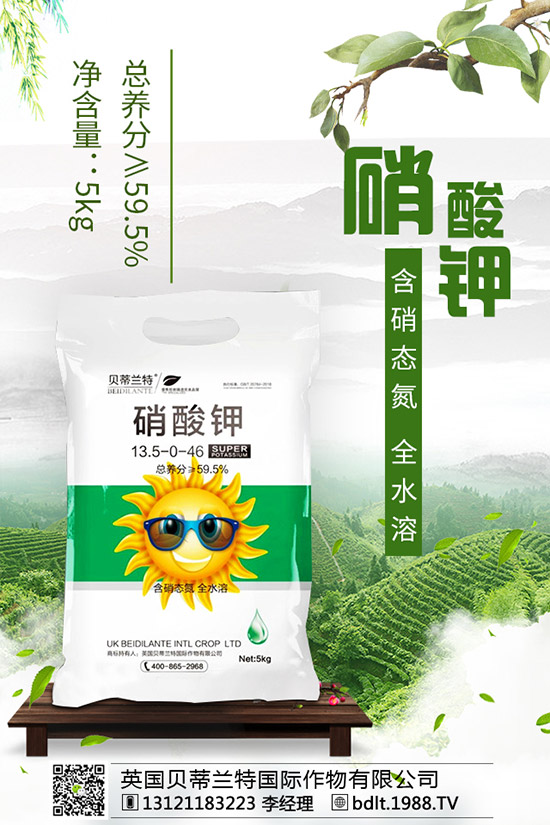番茄空心果是怎么回事？如何做可以避免番茄空心？