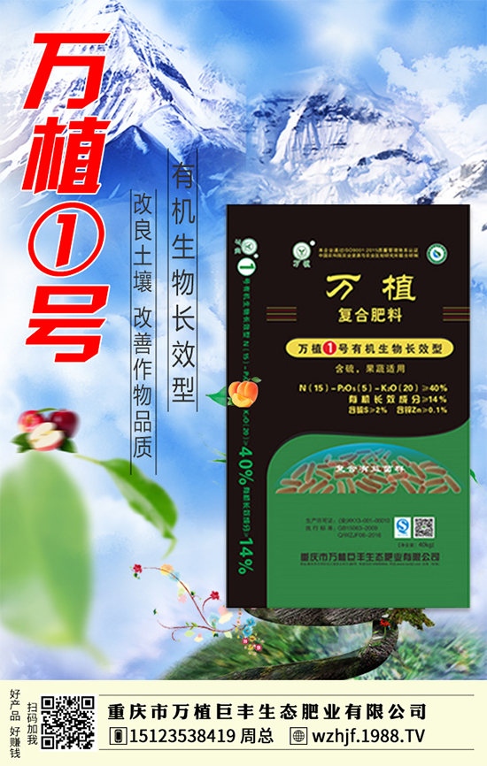     ��(zh��n)�Ժ���������(j��)���f(w��n)ֲ���S�y��1988.TV�ل�(chu��ng)�x����