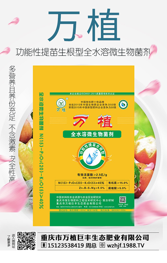     ��(zh��n)�Ժ���������(j��)���f(w��n)ֲ���S�y��1988.TV�ل�(chu��ng)�x����