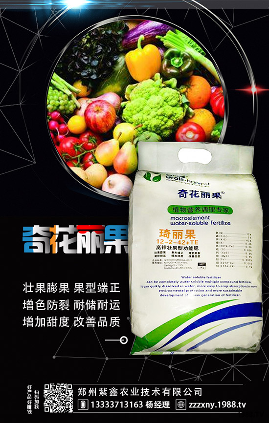 ��ݮĸ�綨ֲ������ʩ�������ӝ�ˮ��