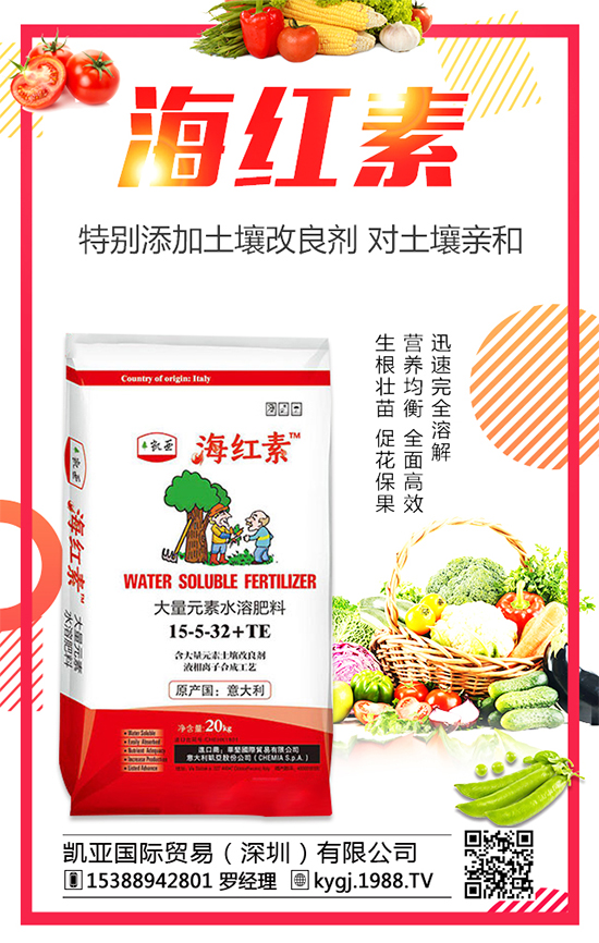 金錢草的產(chǎn)地分布在哪？金錢草種植注意事項！