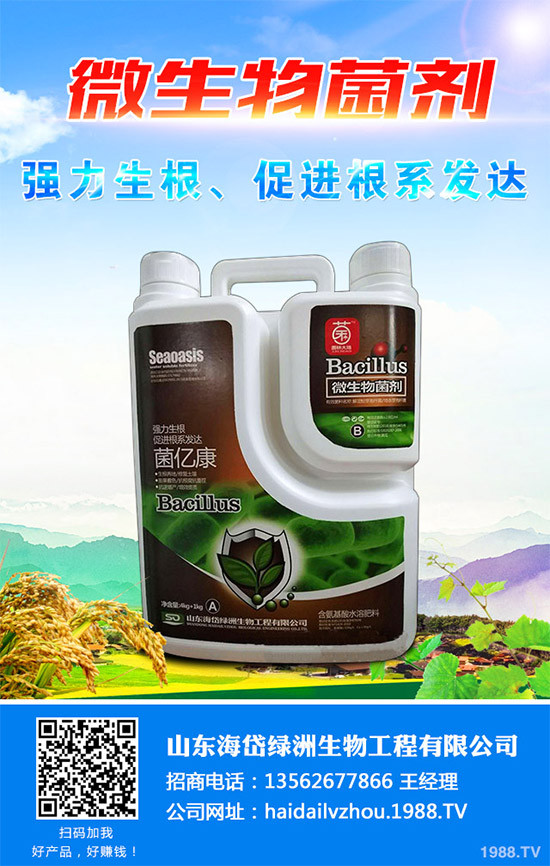 茼蒿該施什么肥料？如何施肥？聊聊茼蒿施肥那些事兒！