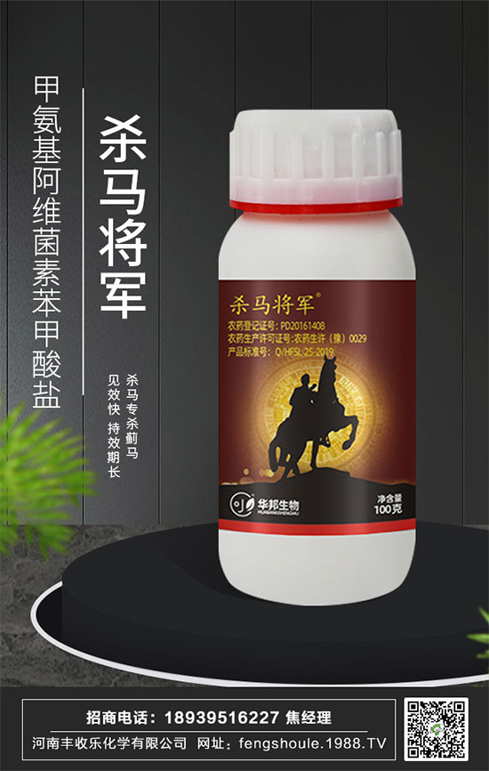 �������\�l(f��)չ�������S�՘��ٺ�1988.TV�_��(chu��ng)���x����